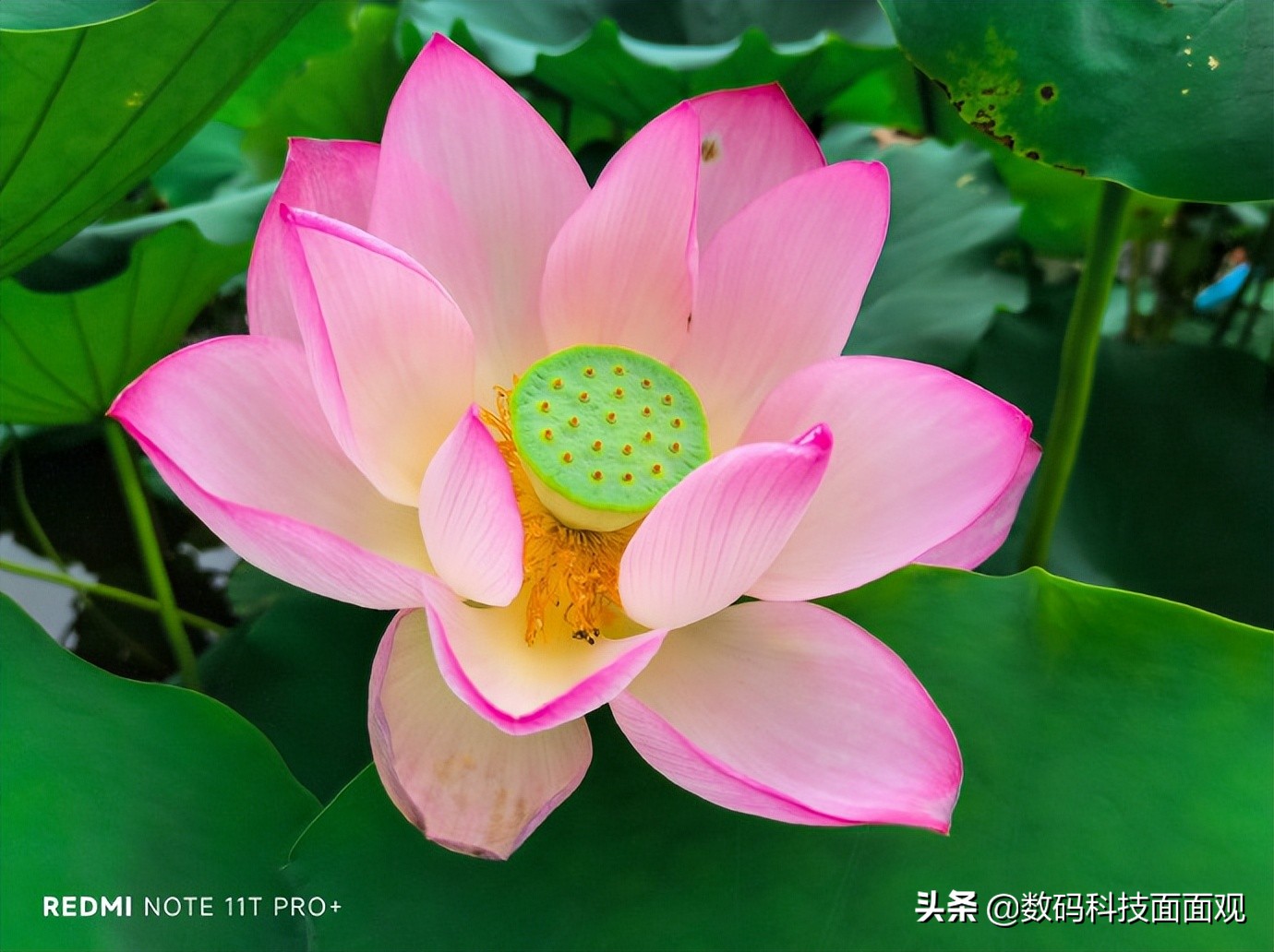 3款1000-1999元手机推荐，性能强劲，高性价比手机担当