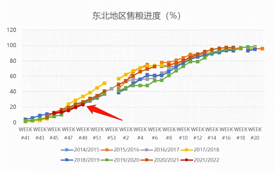 玉米一枝独秀还能“秀”多久——盯紧未来生猪存栏波动