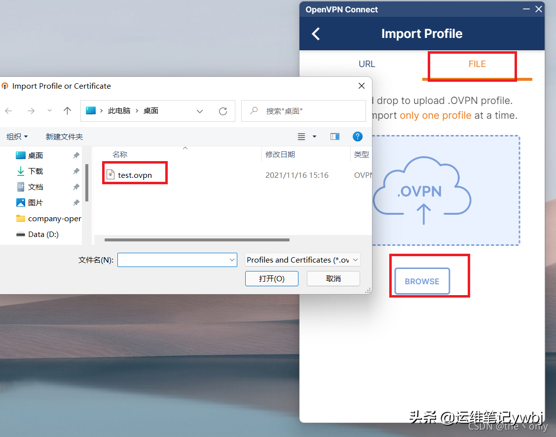 居家或外出办公，使用OpenVPN代理访问公司内网部署