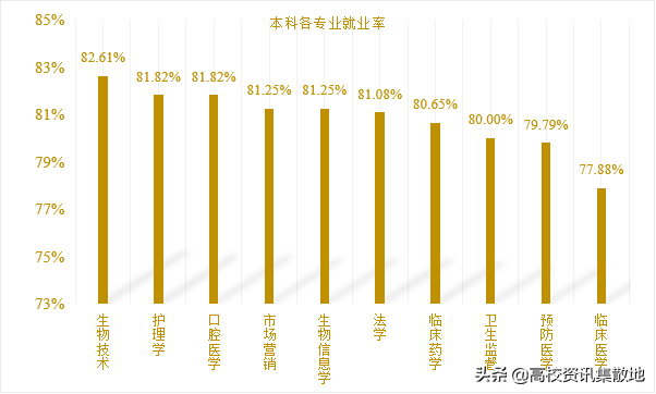 医学大学生毕业规划｜本科生选择考研，研究生选择就业
