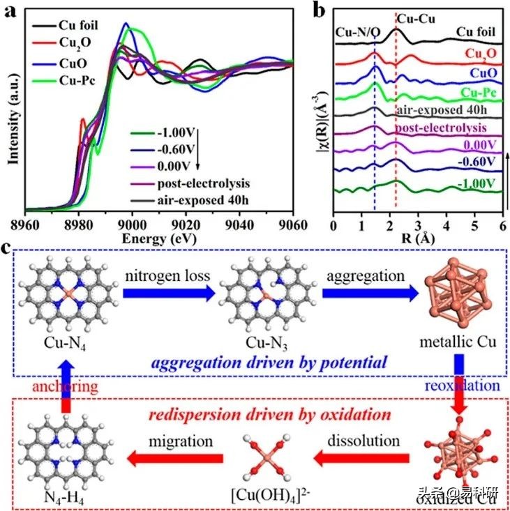 JACS | 大化所王爱琴，刘伟，杨小峰&厦门大学李剑锋团队研究进展