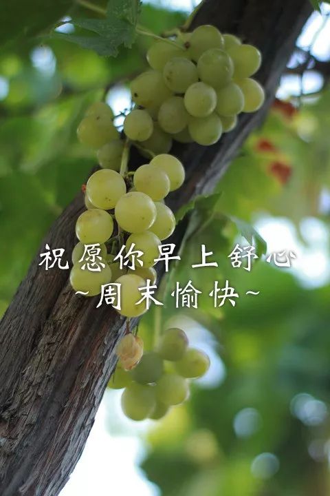 周末愉快祝福语大全 祝福周末快乐的动态图片