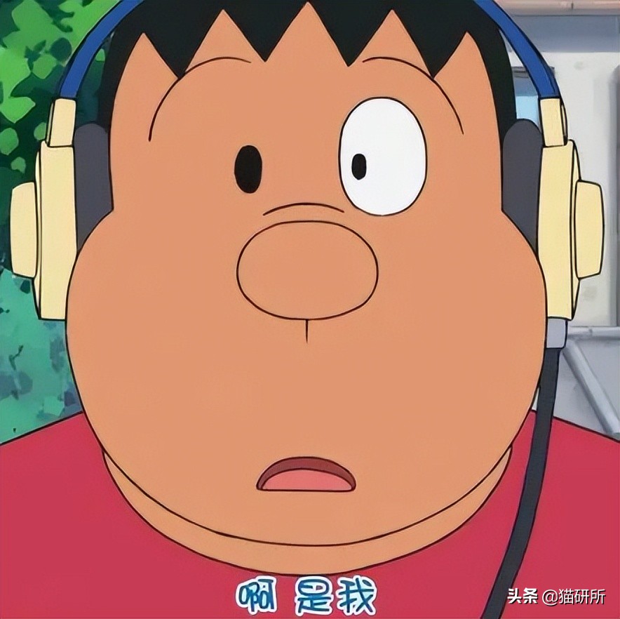 爆肝统计5000个猫名，让所有人都笑死在这些沙雕名字里