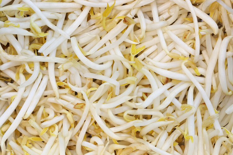 4种蔬菜已被列入“致癌清单”，真的假的？不敢吃的人都看看吧