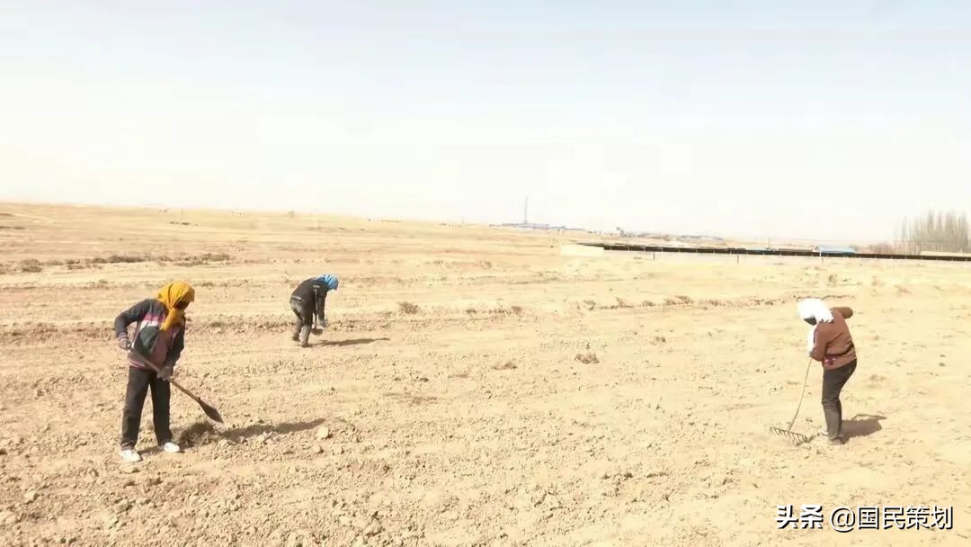 耕地“复耕”，乱象频出？不能忽视这三个方面