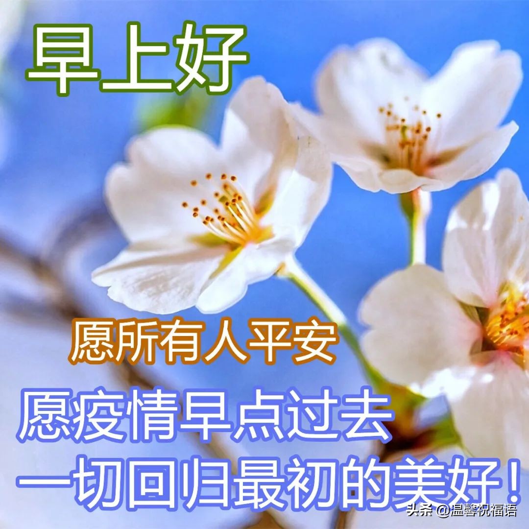 疫情期间祝福暖心的图片 免打字精致走心的春天早安图片