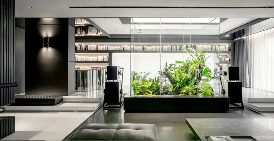 距離高颜值的家，你还差这些綠植！5个植物系家装，美翻