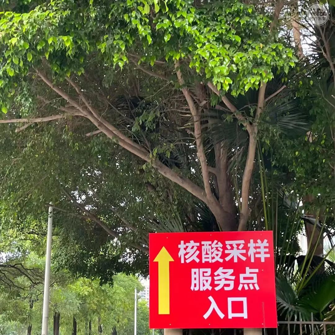 “谢谢，所有为东莞挺身而出的人！”