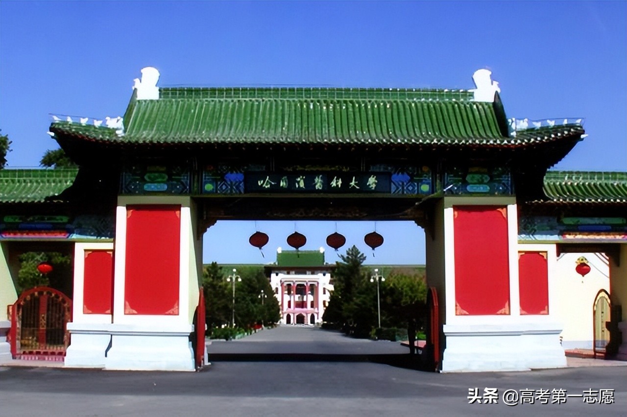 中国医大、吉大白求恩医学部、哈医大，该不该选985大学？