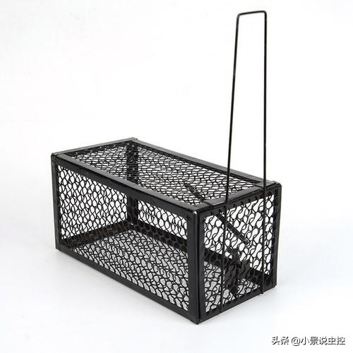 防止捕鼠器移动需要考虑的3件事
