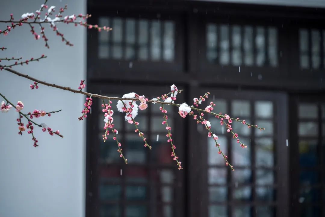 全能挂机组合 尼康Z 7Ⅱ+Z 24-120mm f/4 S试用体会