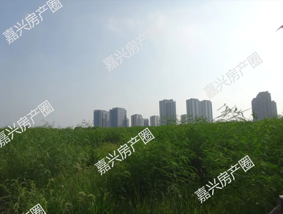 国际商务区宅地挂牌，楼面价7349元/㎡起，将于8月8日出让