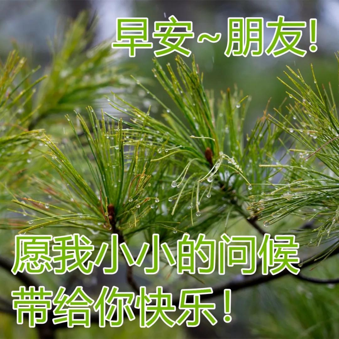 降溫天氣祝福早上好圖片 下雨天早安問候美圖