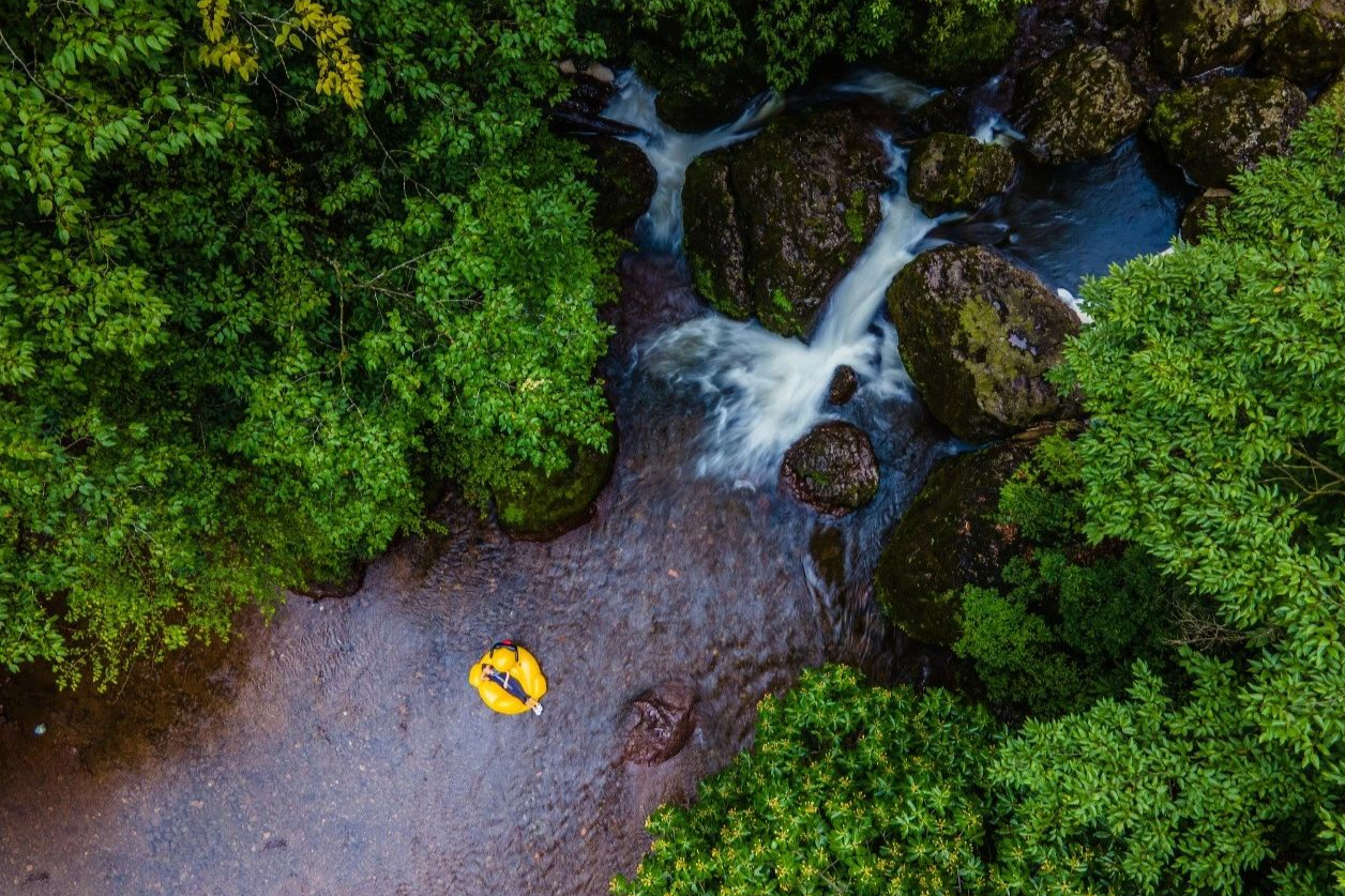 四川有个国家公园，它被誉为“天然氧吧”