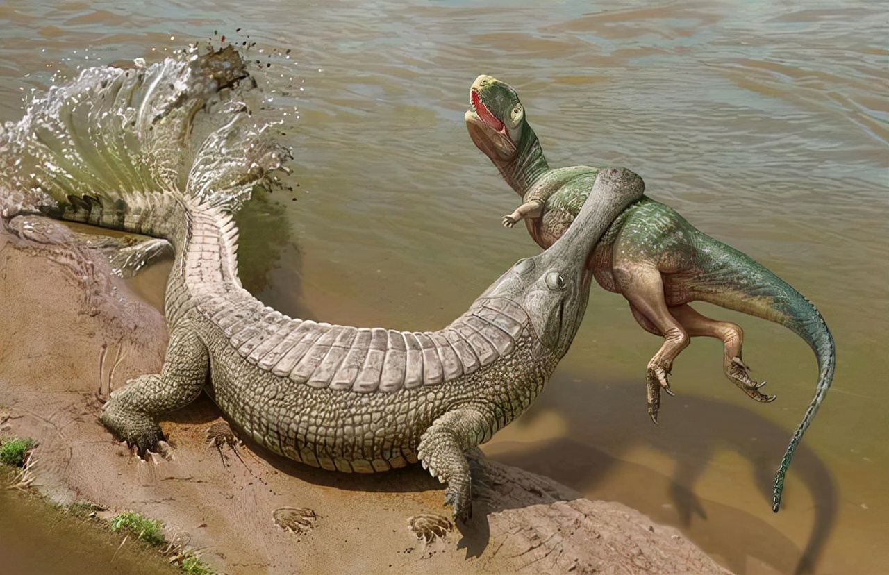 你以为恐龙曾称霸地球?其实在恐龙时代,依然有动物以恐龙为食