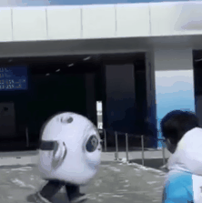 冰墩墩名场面可爱集