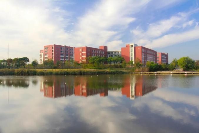 颜值出众，实力强劲！这群女神教授，任职同所双一流，都获上海市重要荣誉！