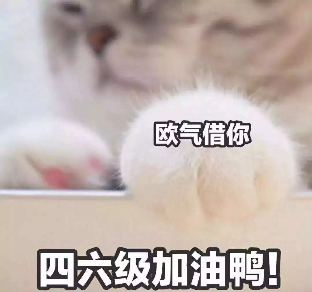 优微推荐｜重要通知！四六级报名又双叒叕来了