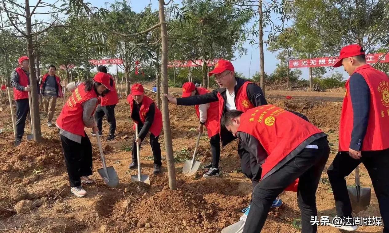 澧县林业局举行林木绿地认建认养捐款活动