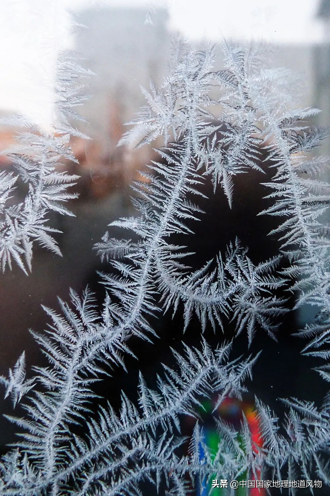 打雪仗吗，走医保的那种？东北人玩雪到底有多猛？