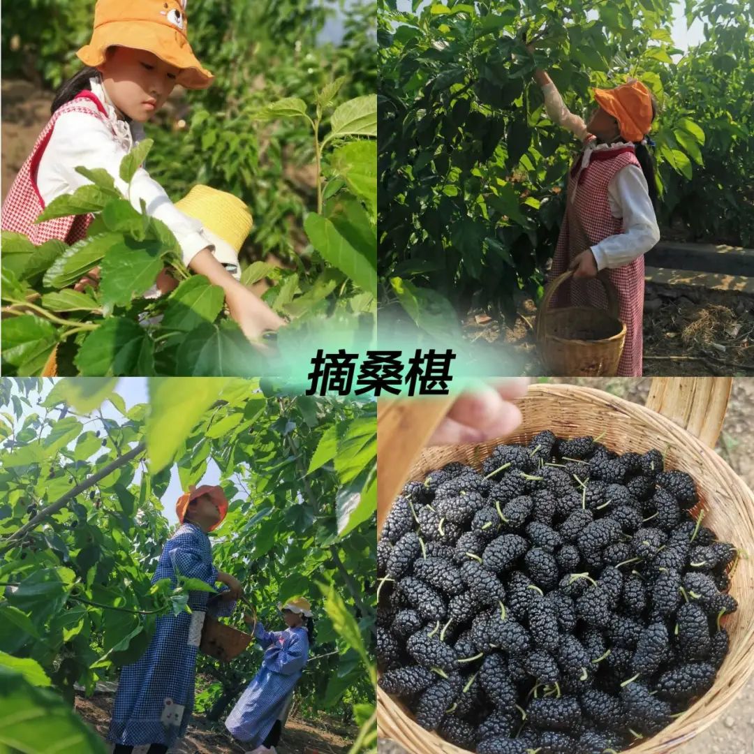 劳动的美丽 青春的风采｜双流区公兴小学开展劳动主题系列活动