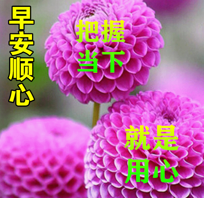 「2022.04.23」早安心语，世界读书日努力奋斗句子 早上好问候图片