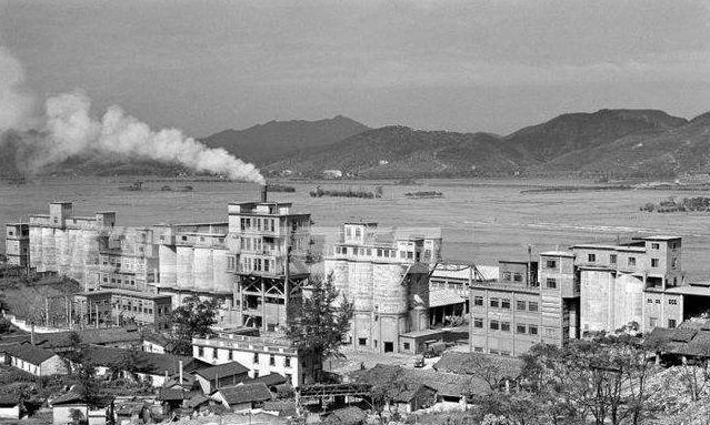 河北黑老大“杨树宽”覆灭记