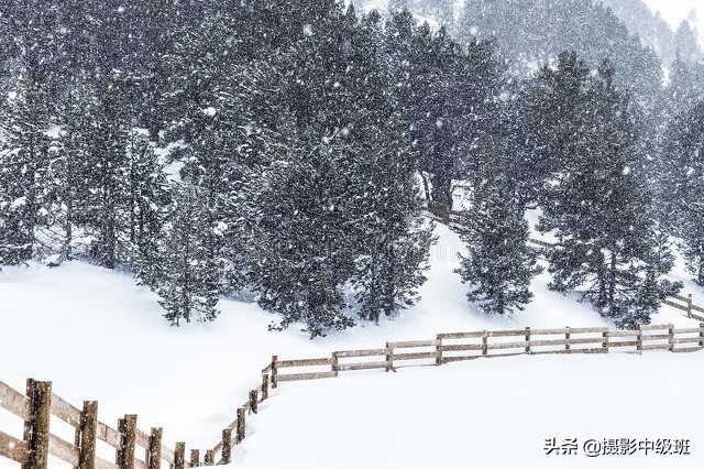 怎么拍雪景？一共5个摄影技巧，相机参数一定先设置好