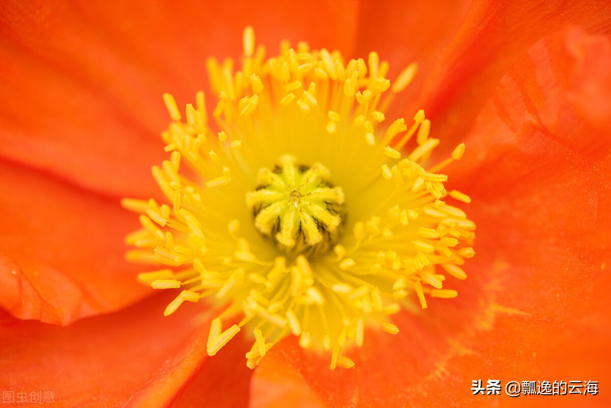 祝福祖国繁荣昌盛(祝福祖国串词)