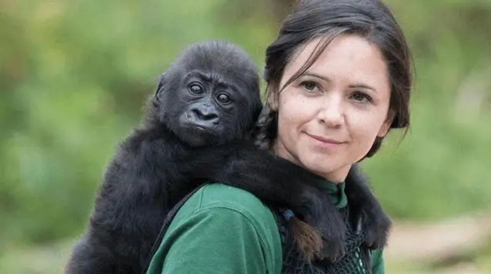 人类和大猩猩有生殖隔离,科学界,又是怎么发现的?