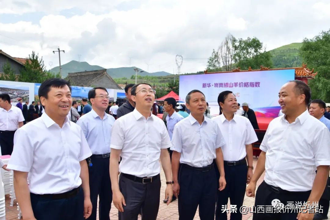 重磅！新华·岢岚绒山羊价格指数发布