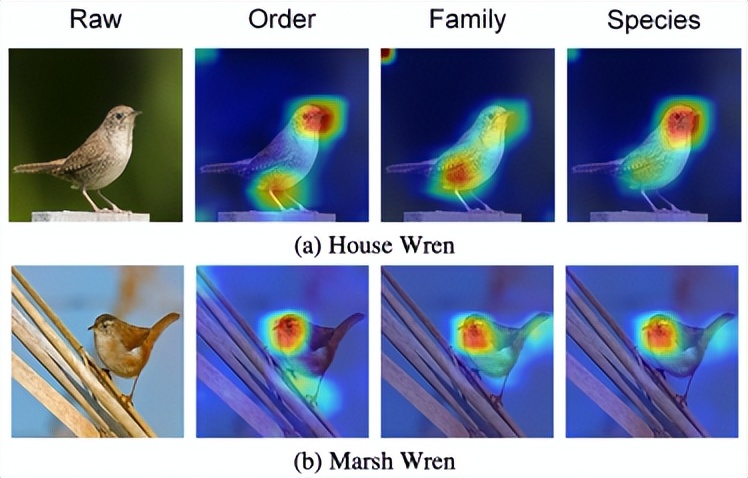 浙大、蚂蚁集团提出基于标签关系树的层级残差多粒度分类网络