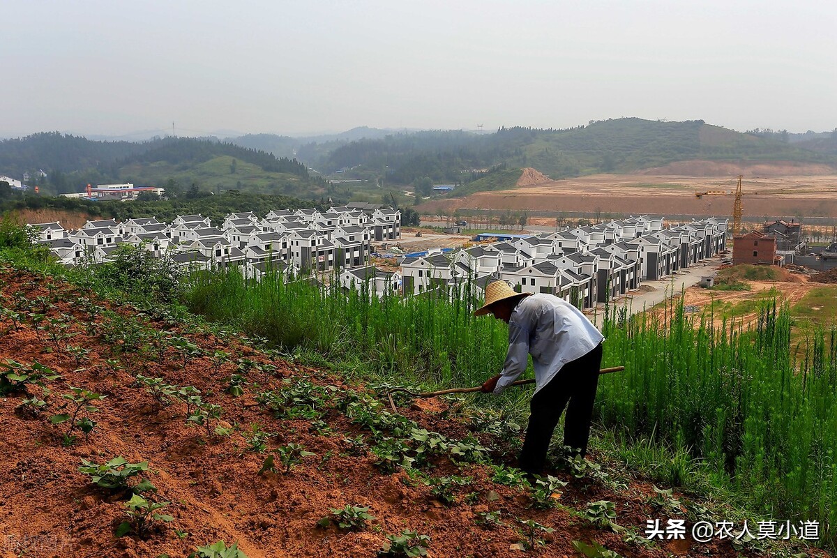 如果土地流转出去每亩一年800元，你会选择自己种植还是流转