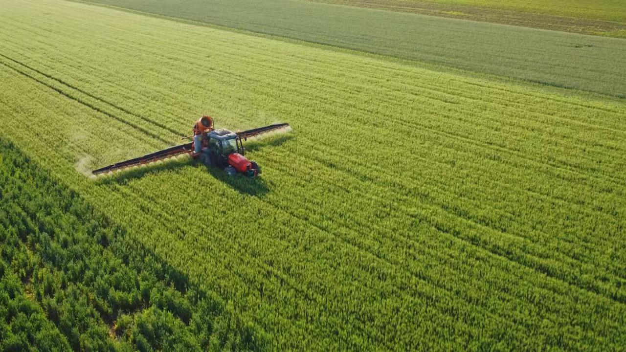 从“碳足迹”到“碳手印”，绿色与发展将不再是矛盾体