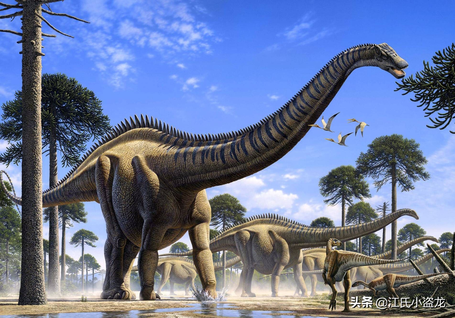 最长恐龙体长42米!超过蓝鲸