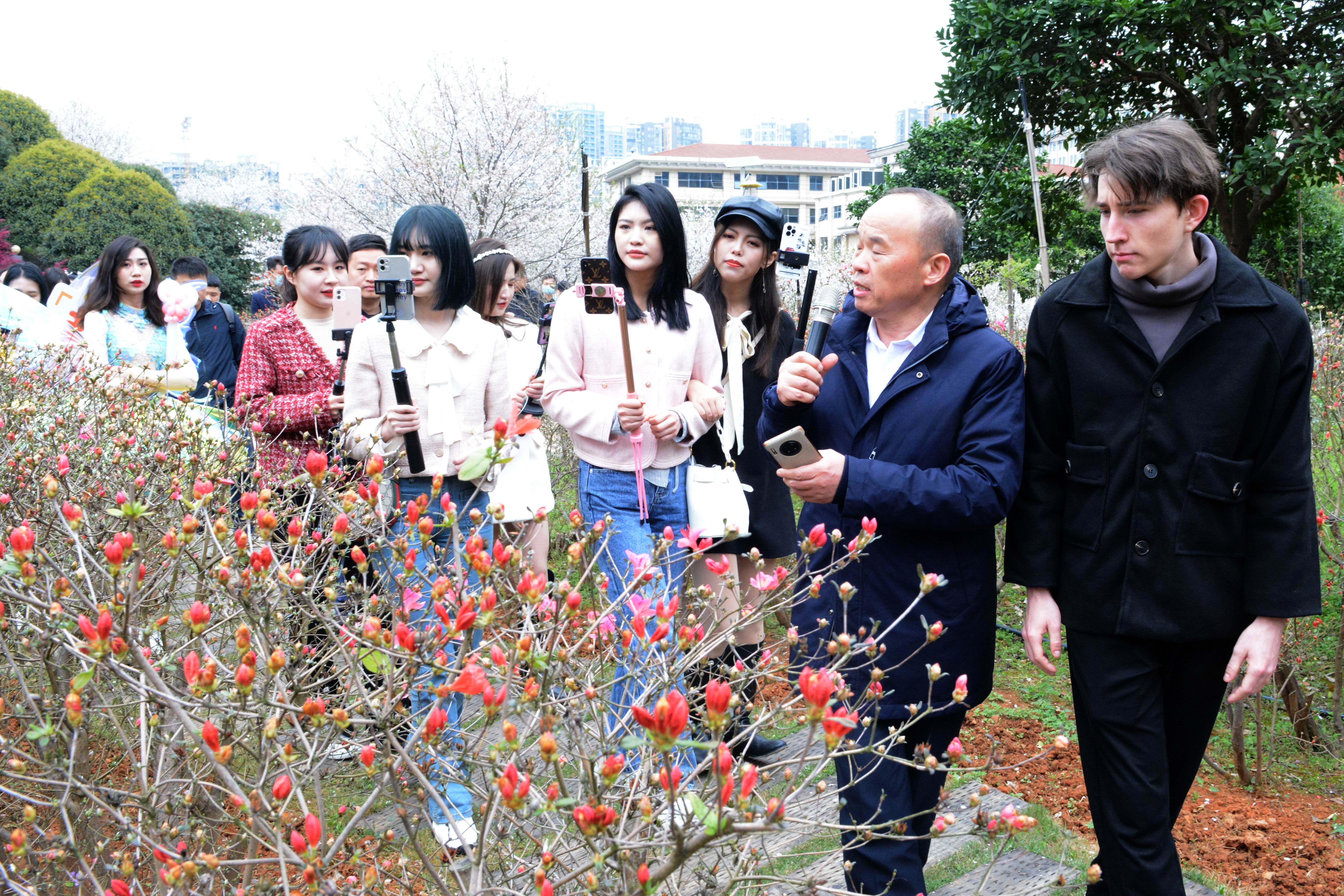 “樱花灿漫是此时”：长沙岳麓区晚安家居文化园启动樱花节