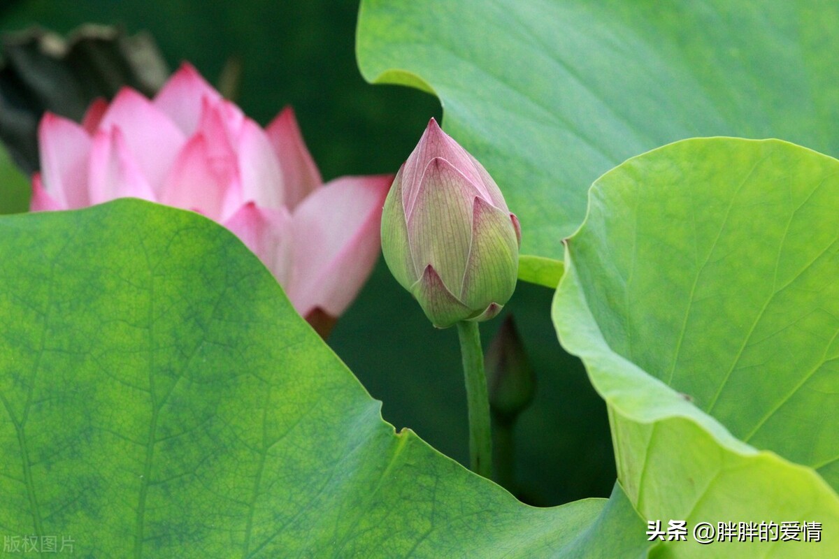 幸与不幸都有尽头，见者有份，好事发生；适时清零，更好前行
