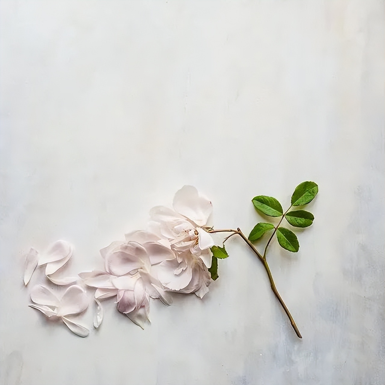 超nice的早安文案