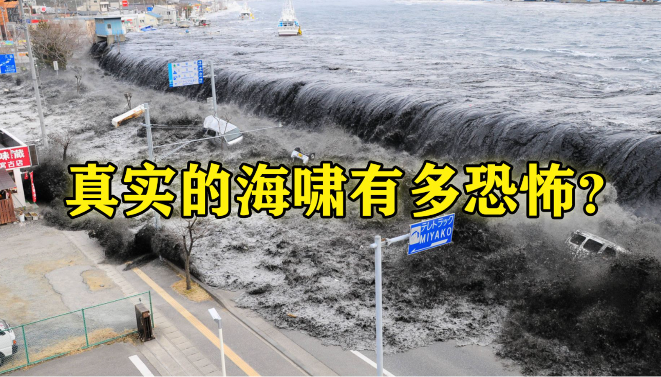 印度洋大地震将海洋板块,由苏门答腊往北切出长达1600千米的裂缝,是
