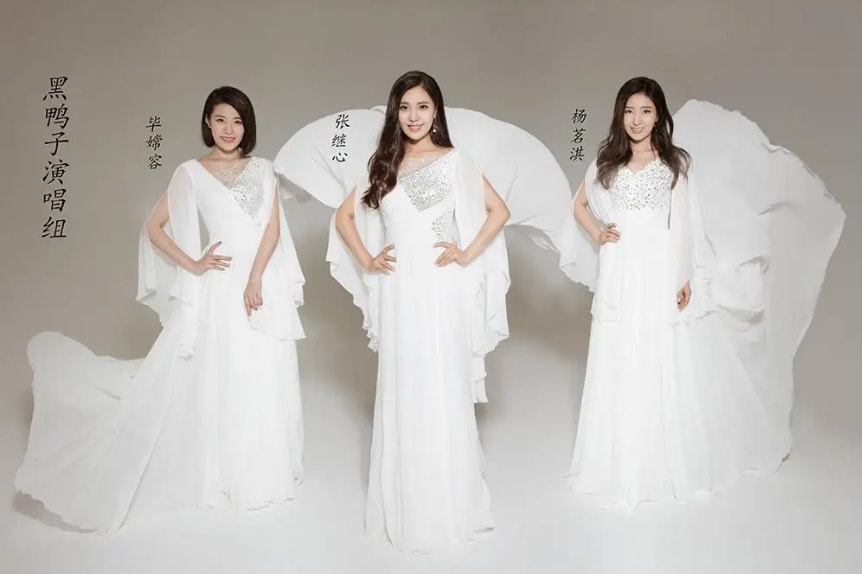 徐组黑鸭子的一声部杨蔓在2006年退出,倪雅丰加入,该组合又被称为"倪