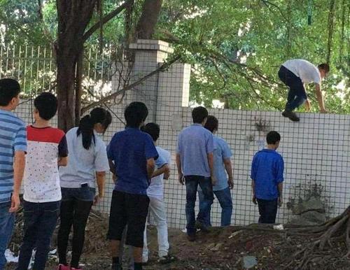 为啥男孩进入青春期容易“变坏”？家长搞懂了，孩子才能少走歪路