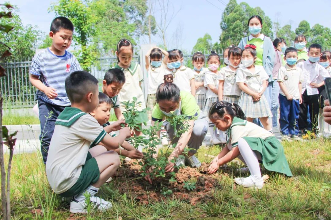 成都市双流区黄甲小学携手黄甲幼儿园开展手拉手幼小衔接活动