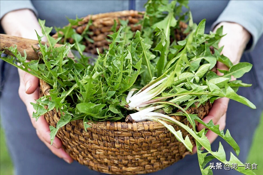 婴儿一个脚厚一个脚薄（这5种常见的野菜）