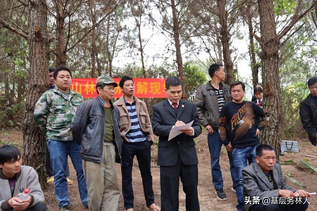 村委会与林场林地权属争议纠纷一案以案释法案例