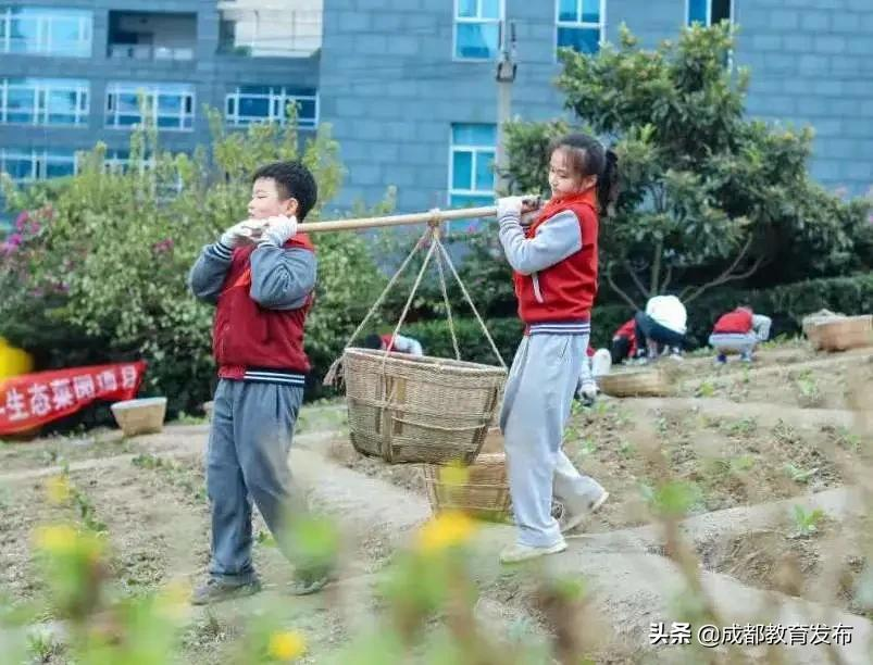 成都又获教育部点赞！这次是为啥？