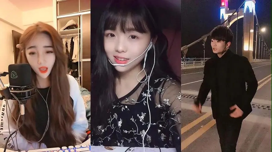 《声生不息》《为歌而赞2》救不了粤语歌，更救不了“华语乐坛”