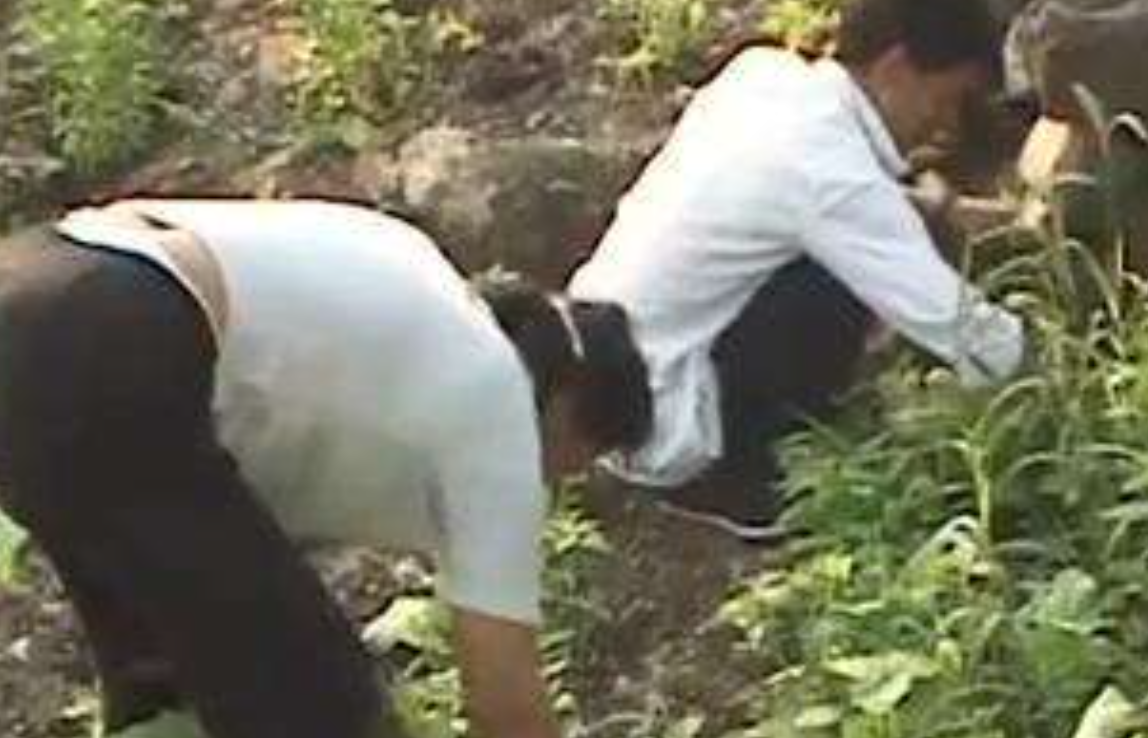 三峡“钉子户”张秉爱：全村搬迁唯独她不走，18年后结局让人唏嘘