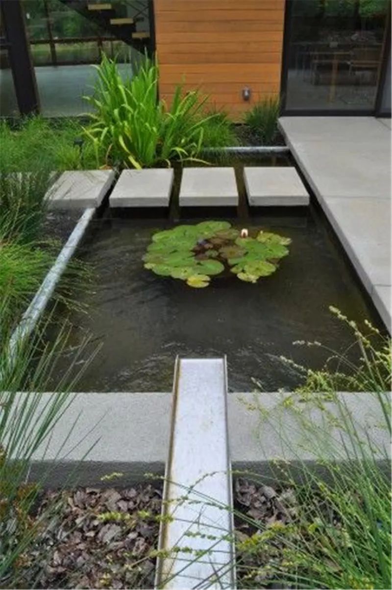 汀步，趣味无穷