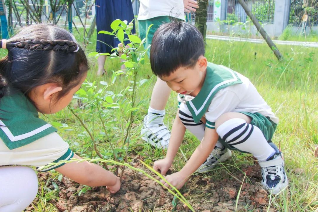 成都市双流区黄甲小学携手黄甲幼儿园开展手拉手幼小衔接活动