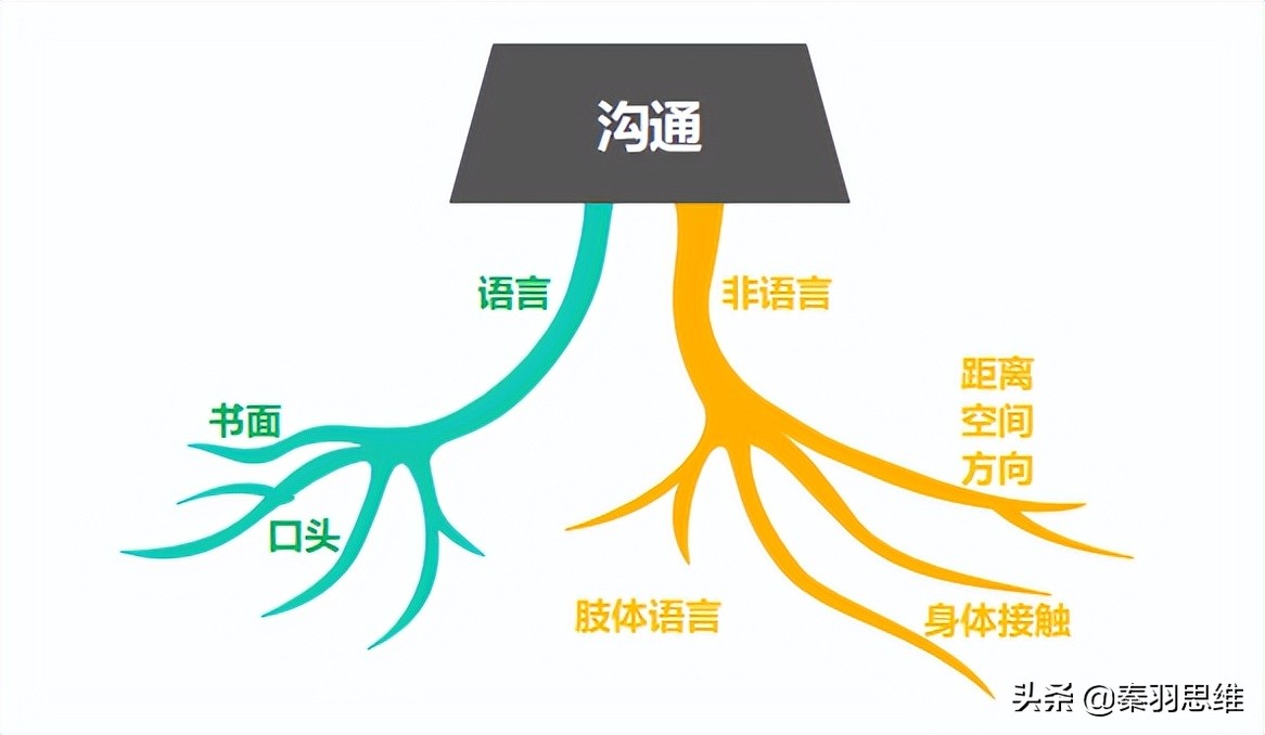 沟通的基本要点有哪些
